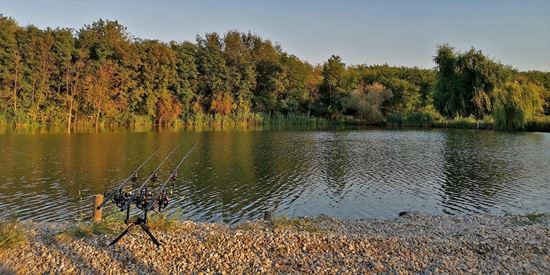Balta Dyno Lake, Călăraşi